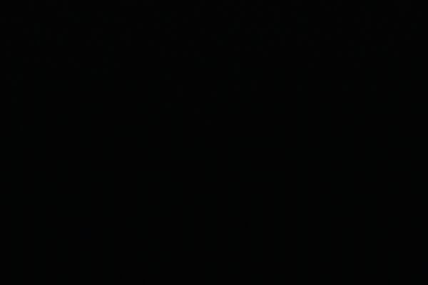NEGRO†