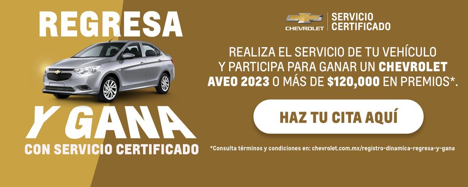 Distribuidor Autorizado car one monterrey Distribuidor Autorizado